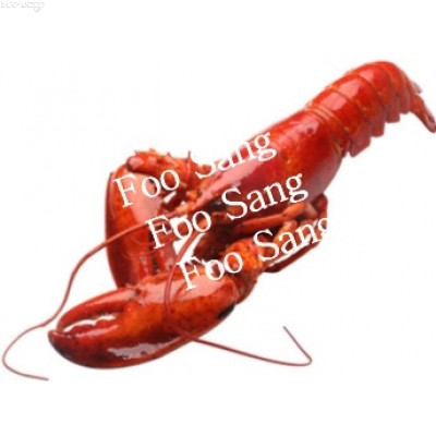 A37A2 加拿大熟波士頓龍蝦(約350~400g/隻，解凍即食)網購原價HK83.00/隻，會員價HK$74.00/隻